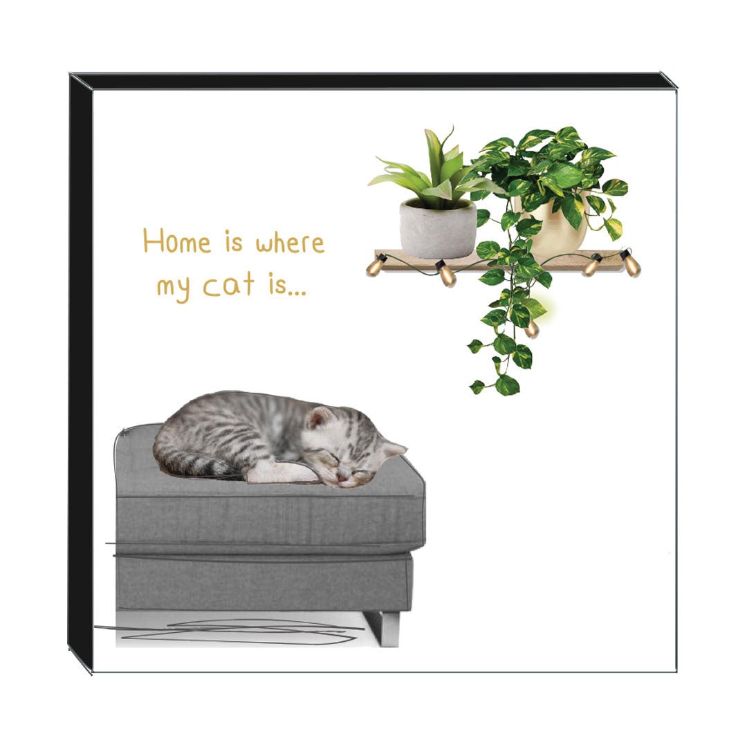 Art Block - Where My Cat Is: NZ Made Greeting Card, , , by Icandy Design Ltd