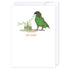 Cheeky Birthday Kea: NZ Made Greeting Card, Birthday, Jandal & Ink, Kiwiana by iCandy Publishing