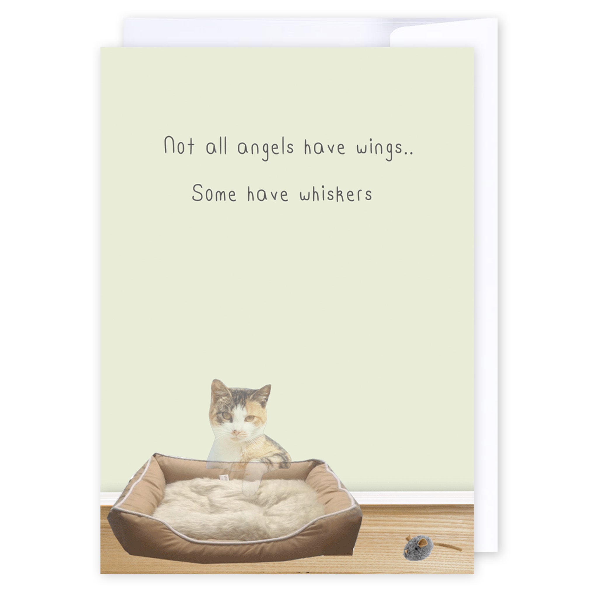 Not all angels have wings: NZ Made Greeting Card, Cats & Dogs, Clearance, Sympathy by Icandy Design Ltd