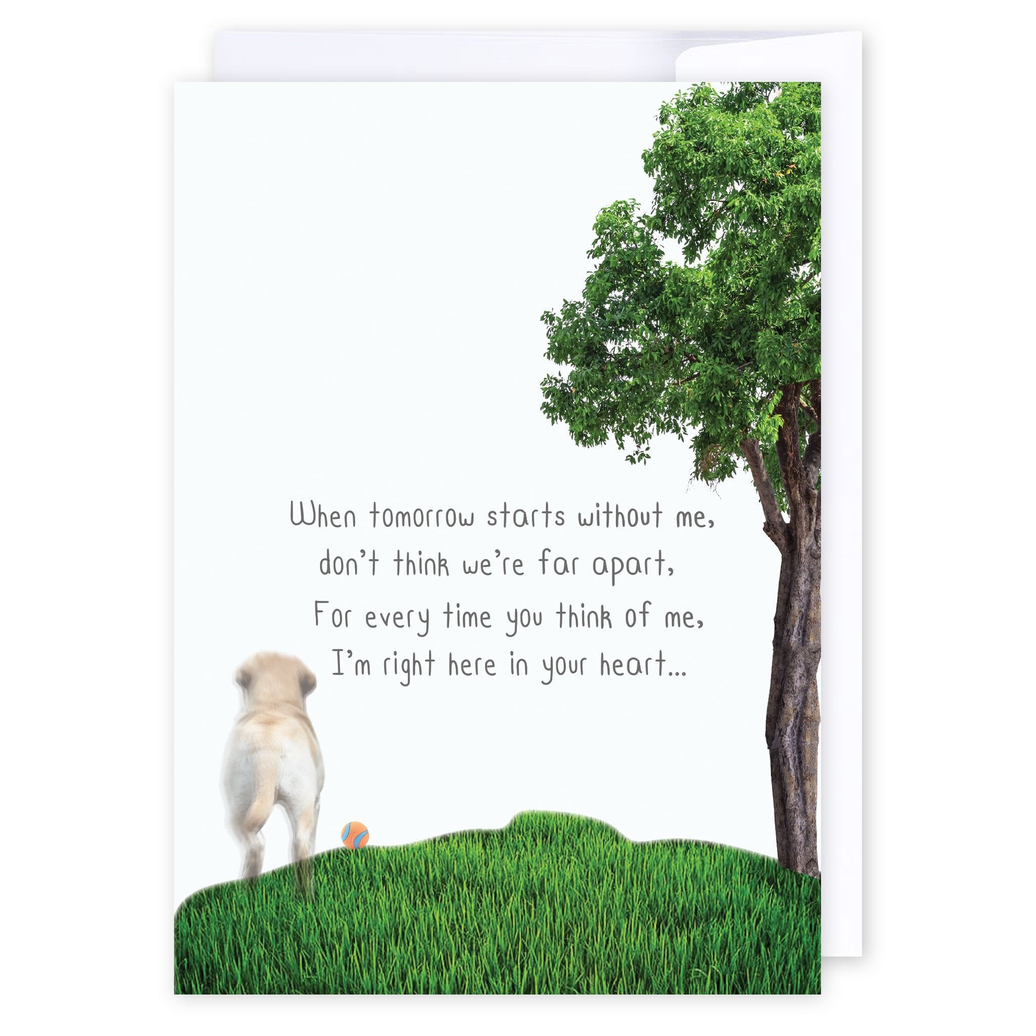 Tomorrow without me: NZ Made Greeting Card, Cats & Dogs, Clearance, Sympathy by Icandy Design Ltd