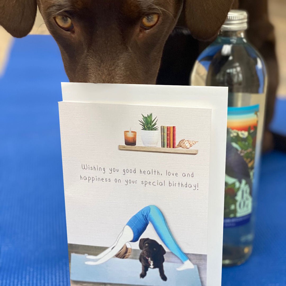 Downward dog: NZ Made Greeting Card, Birthday, Cats & Dogs, Clearance by Icandy Design Ltd