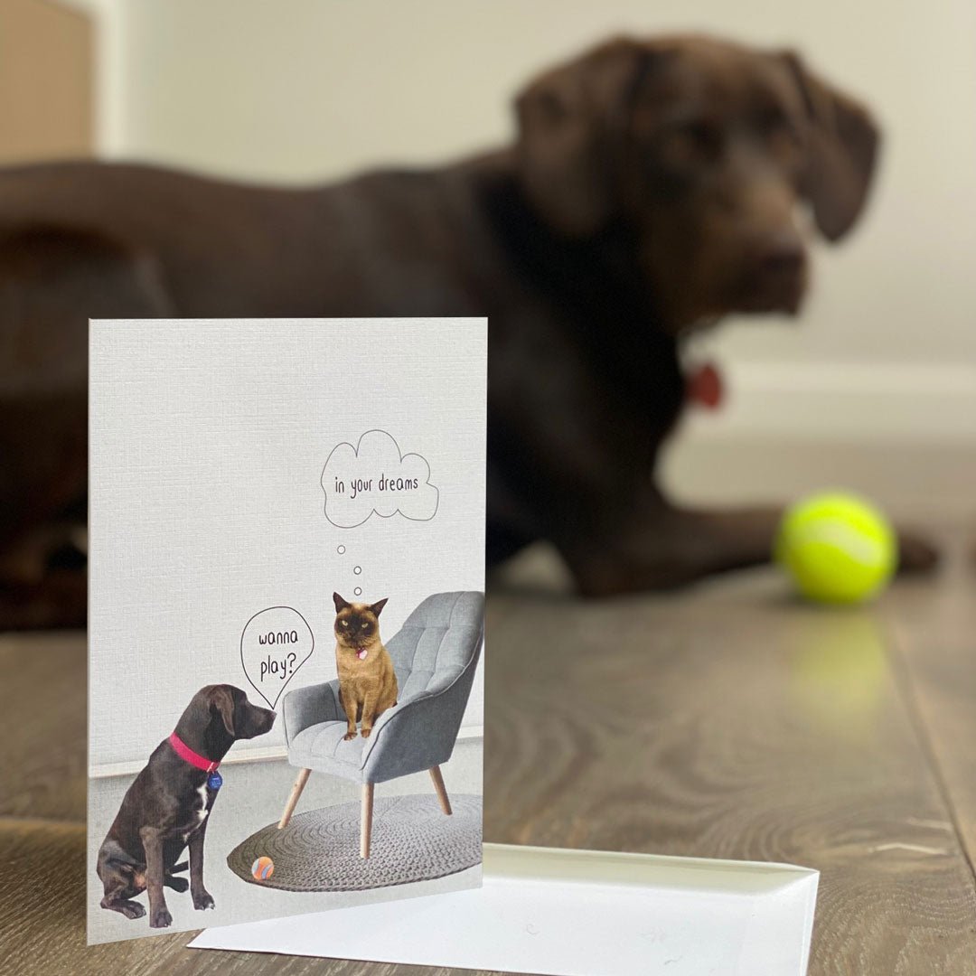 Wanna play?: NZ Made Greeting Card, Cats & Dogs, Clearance, Fun by Icandy Design Ltd