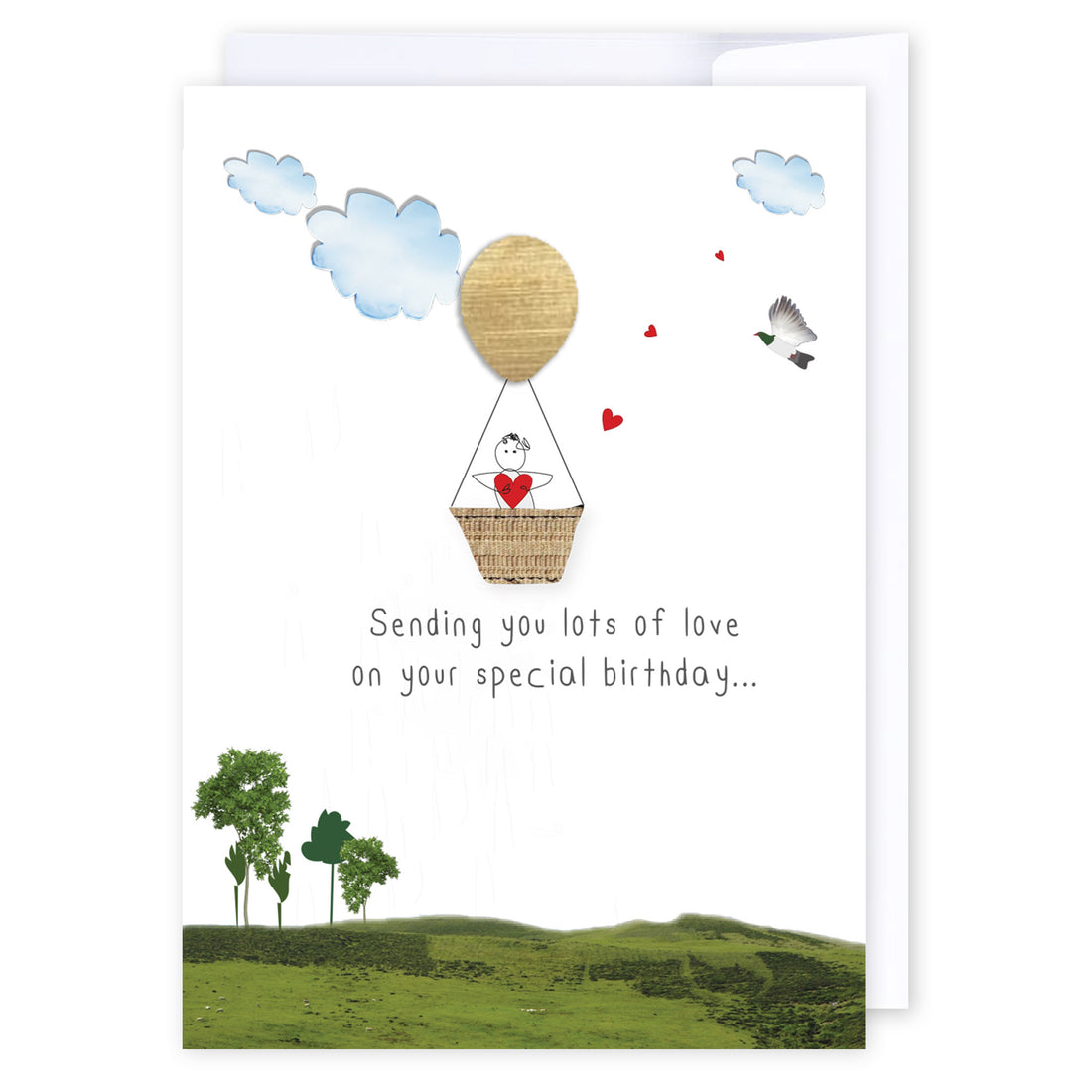 Special birthday hot air balloon