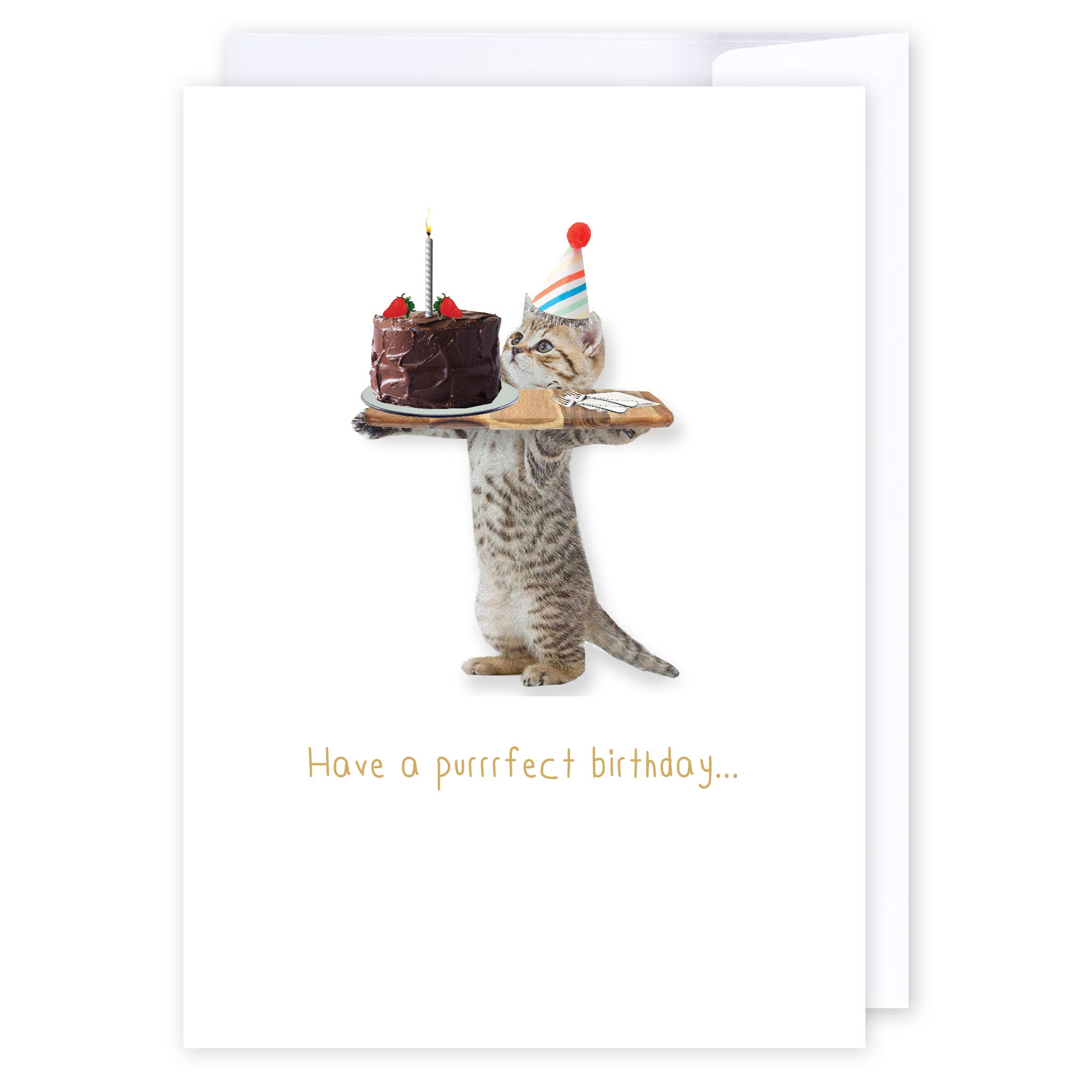 Cat With Birthday Tray: NZ Made Greeting Card, Birthday, Cats &amp; Dogs, Clearance by Icandy Design Ltd