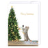 Cat with Christmas tree: NZ Made Greeting Card, Cats & Dogs, Christmas, by Icandy Design Ltd
