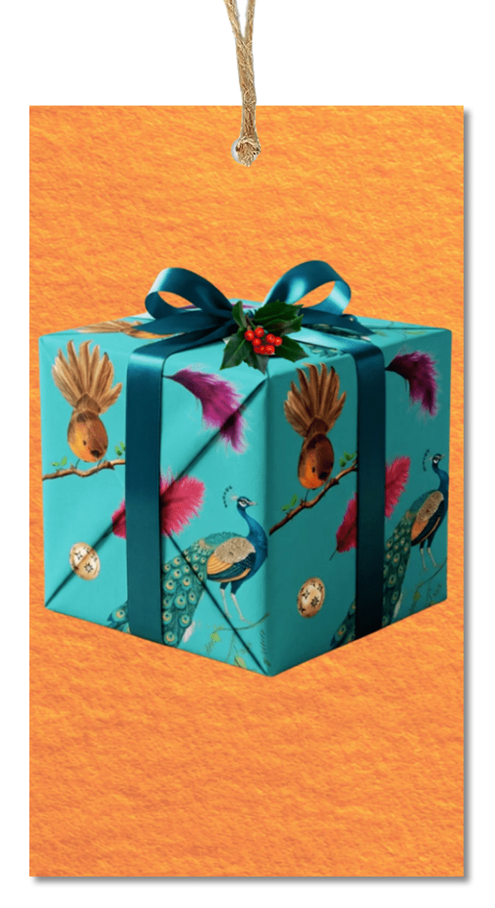 Christmas Gift Tags – Variety Pack: NZ Made Greeting Card, , , by iCandy Publishing