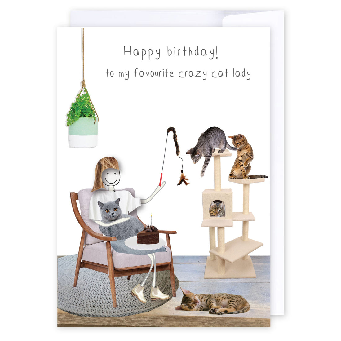 Crazy cat lady: NZ Made Greeting Card, Birthday, Cats &amp; Dogs, Clearance by Icandy Design Ltd