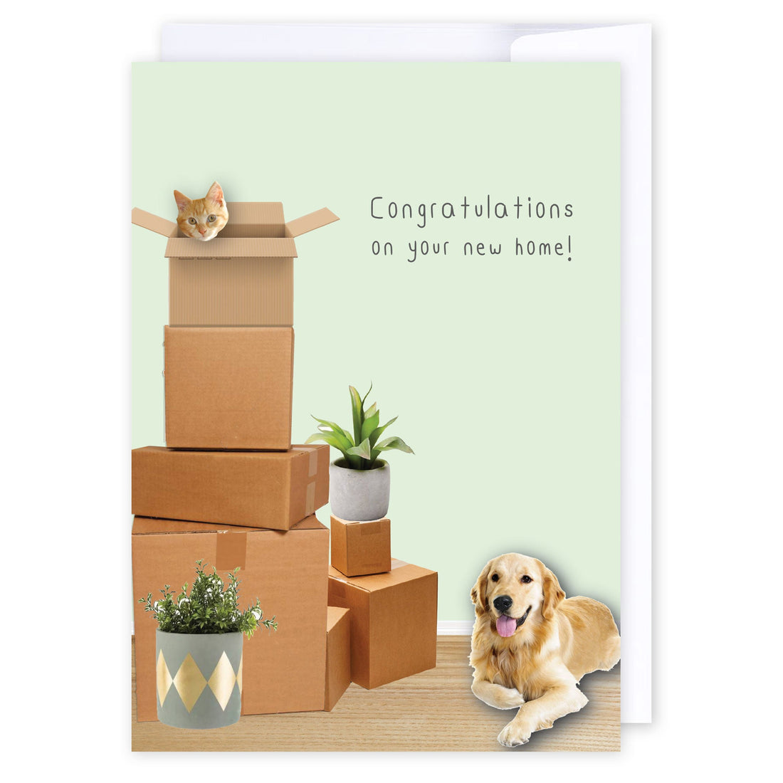 New home cat and dog: NZ Made Greeting Card, Cats &amp; Dogs, Clearance, Congratulations by Icandy Design Ltd