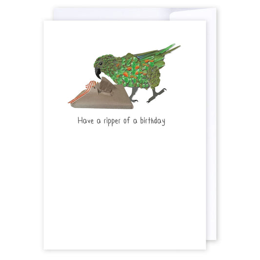 Ripper of a birthday Kea: NZ Made Greeting Card, Best sellers, Birthday, Jandal & Ink by iCandy Publishing