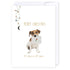 Ruff year: NZ Made Greeting Card, Christmas, Clearance, Pets by Icandy Design Ltd