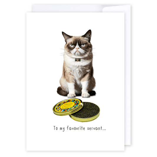 To my favourite servant: NZ Made Greeting Card, Dads, Father's Day, Hilda & Co. by iCandy Publishing